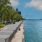 a walkway next to a body of water with trees and a boat in the distance